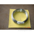 Filo di bobina galvanizzato